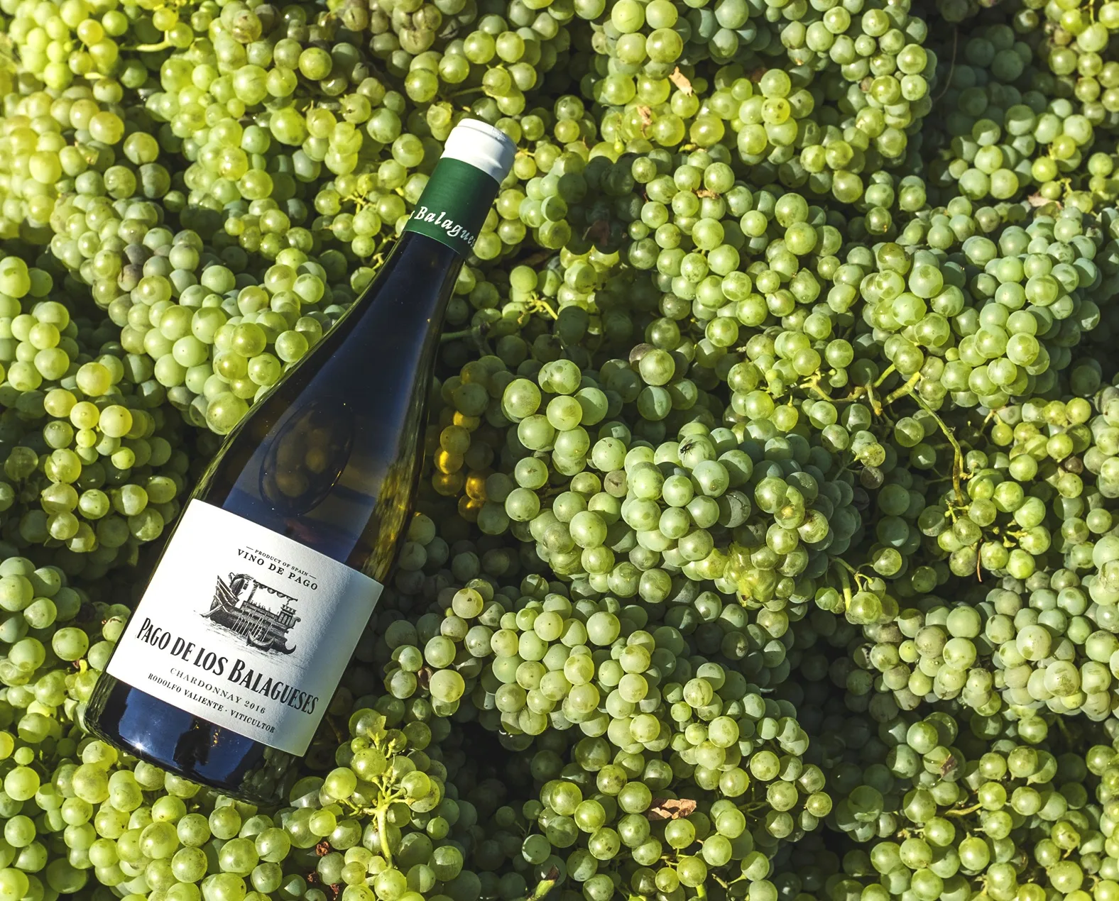 Pago Balagueses Chardonnay